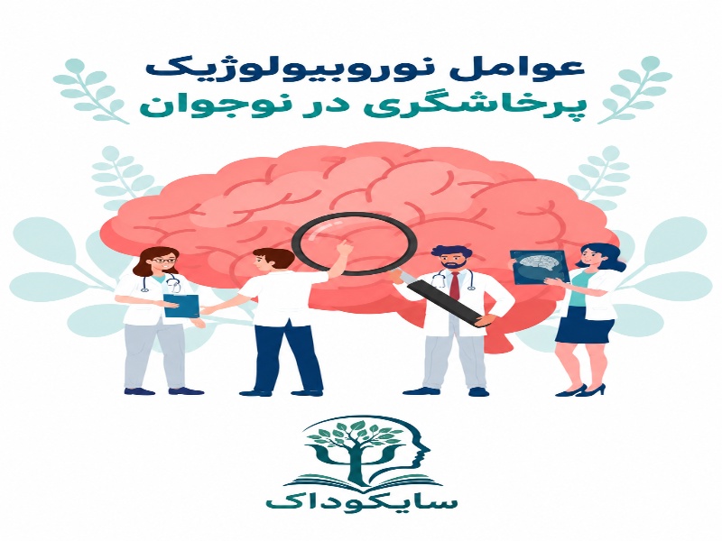 عوامل نوروبیولوژیک پرخاشگری در نوجوان