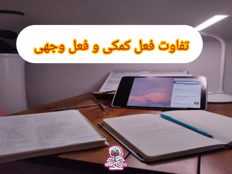 تفاوت فعل کمکی و فعل وجهی (مدال)